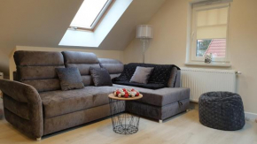 LAGUNA Apartament 30 Willa Maria Polanica Zdrój